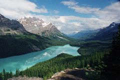 Lake Louise To Peyto Lake